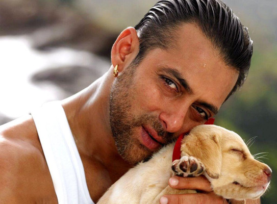 Salman Khan фото №448024