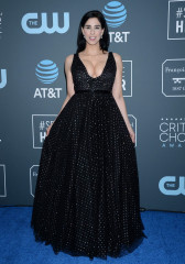 Sarah Silverman- Critics’ Choice Awards 2019 фото №1134755