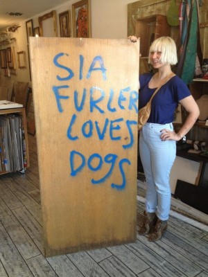 Sia Furler  фото №587163