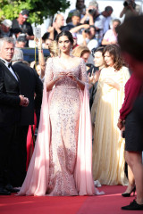 Sonam Kapoor – ‘The Meyerowitz Stories’ Premiere at 70th Cannes Film Festival фото №967236