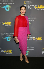 Sophia Bush – “National Geographic Photo Ark” Exhibit in Century City 10/11/2018 фото №1108409