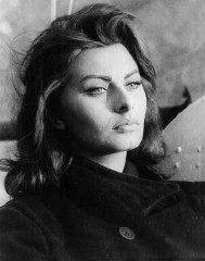 Sophia Loren фото №663332