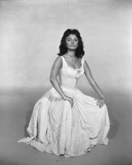 Sophia Loren фото №247810