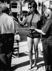 Sophia Loren фото №249743