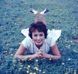 Sophia Loren фото №249744