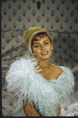 Sophia Loren фото №286779