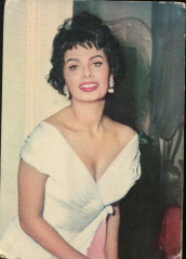 Sophia Loren фото №51576