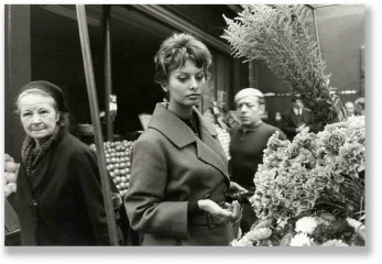 Sophia Loren фото №50542