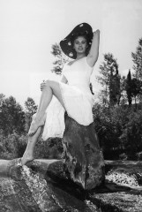 Sophia Loren фото №997592
