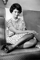 Sophia Loren фото №997589