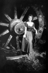 Софи Лорен - Гордость и страсть 1957 год фото №1147634