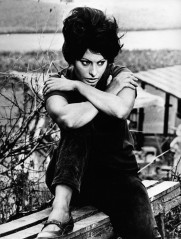 Sophia Loren фото №506881