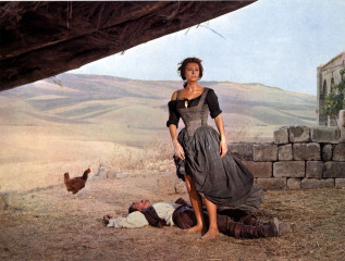 Sophia Loren фото №498937