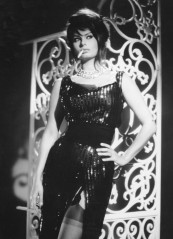 Sophia Loren фото №505524