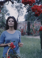 Sophia Loren фото №506955