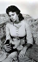 Sophia Loren фото №498211