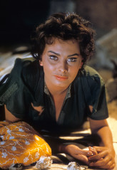 Sophia Loren фото №501461