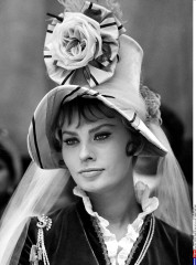 Sophia Loren фото №508279