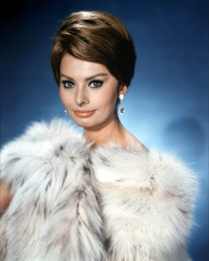 Sophia Loren фото №512702