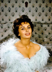 Sophia Loren фото №381184