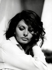 Sophia Loren фото №380434