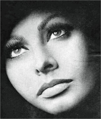 Sophia Loren фото №507959