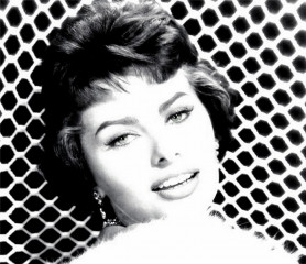 Sophia Loren фото №511159