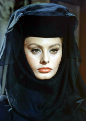 Sophia Loren фото №508551