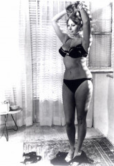 Sophia Loren фото №51580