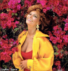Sophia Loren фото №52391