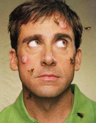 Steve Carell фото №244734