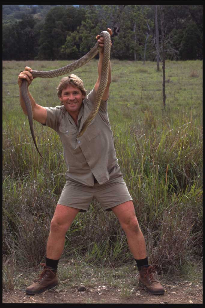 Стив Ирвин (Steve Irwin)