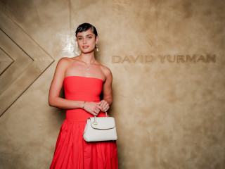 Taylor Hill at David Yurman Chevron event New York City February 2025 фото №1412369