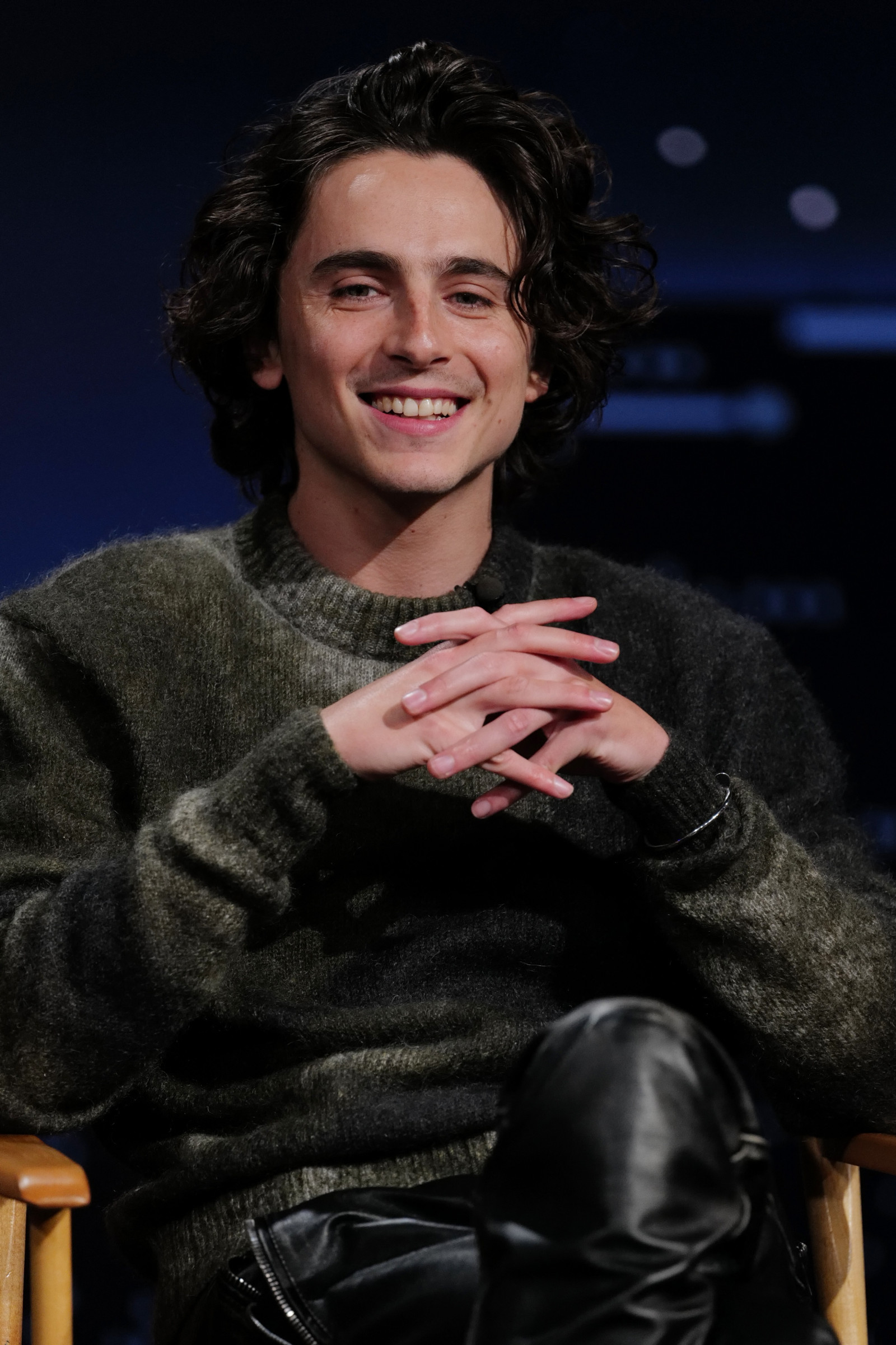 Тимоти Чаламет (Timothee Chalamet)