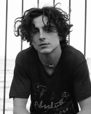 Timothée Chalamet by Julian Ungano for 79th Venice Film Festival 09/01/2022 фото №1365731