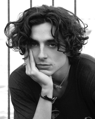 Timothée Chalamet by Julian Ungano for 79th Venice Film Festival 09/01/2022 фото №1365730