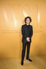 Timothée Chalamet - WSJ Magazine Innovator Awards in New York 11/01/2023 фото №1380307
