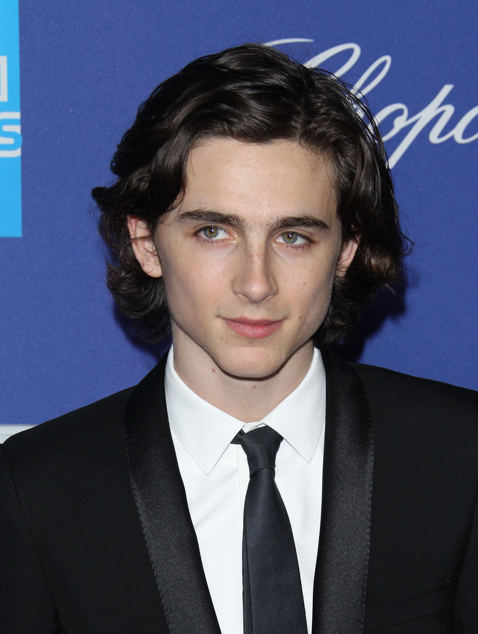 Тимоти Чаламет (Timothee Chalamet)