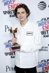 Timothée Chalamet - 33rd Film Independent Spirit Awards in Santa Monica 03/03/18 фото №1343759