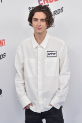 Timothée Chalamet - 33rd Film Independent Spirit Awards in Santa Monica 03/03/18 фото №1418395