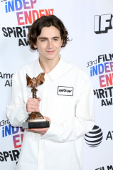 Timothée Chalamet - 33rd Film Independent Spirit Awards in Santa Monica 03/03/18 фото №1367803