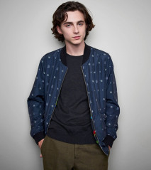 Timothée Chalamet by Matt Doyle for 55th New York Film Festival 10/04/2017 фото №1319626