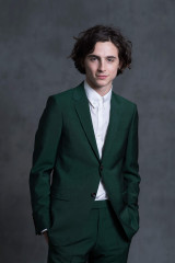 Timothée Chalamet by Valerie Macon for 90th AAA Nominee Luncheon in LA 02/05/18 фото №1354622