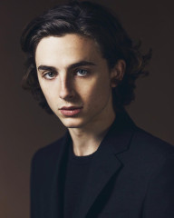 Timothée Chalamet by Kourosh Keshiri for Huawei at TIFF 09/08/2017 фото №1375346