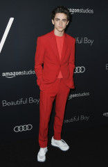 Timothée Chalamet - 'Beautiful Boy' Los Angeles Premiere 10/08/2018 фото №1330011