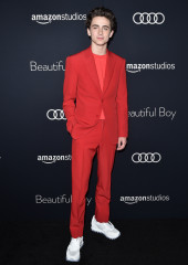 Timothée Chalamet - 'Beautiful Boy' Los Angeles Premiere 10/08/2018 фото №1330022