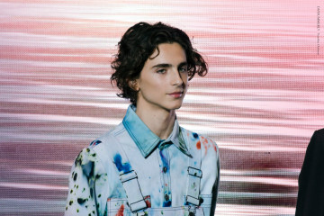 Timothée Chalamet - 'The King' Photocall at 24th BIFF 10/08/2019 фото №1361418