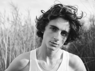 Timothée Chalamet by Hedi Slimane for Document (Villa Kerouac, August 2020) фото №1417351