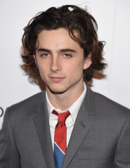 Timothée Chalamet - The National Board Of Review Awards Gala in NY 01/09/2018 фото №1369112