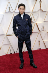 Timothée Chalamet - 92nd Annual Academy Awards in Hollywood 02/09/2020 фото №1339963
